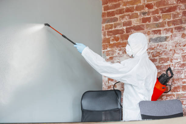 Best Industrial Mold Remediation  in Spencerville, MD