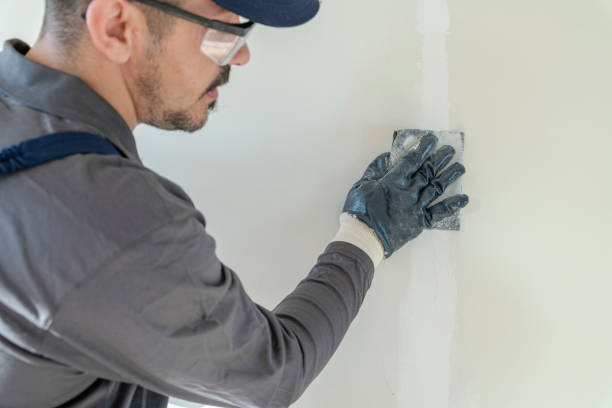 Professional Mold Removal in Spencerville, MD