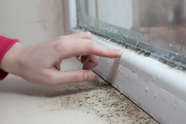 Best Mold Documentation for Insurance Claims  in Spencerville, MD