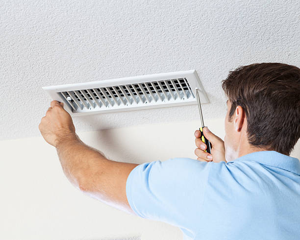Best Black Mold Removal  in Spencerville, MD