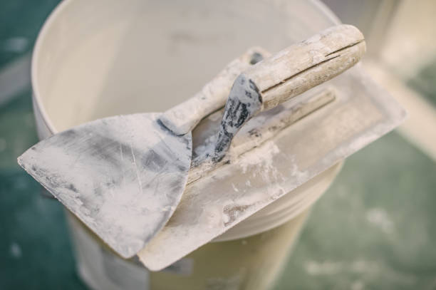 Best Basement Mold Removal  in Spencerville, MD