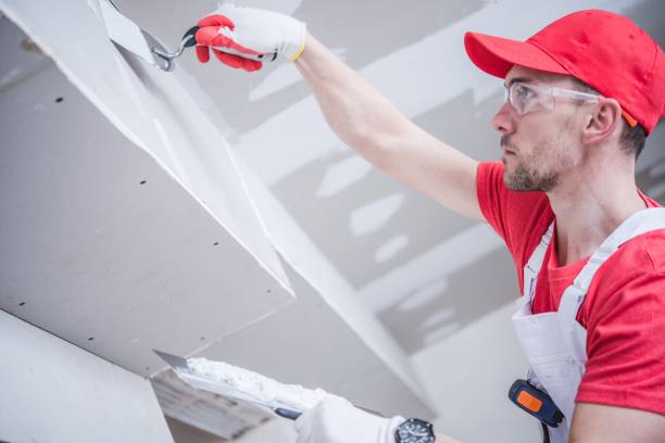Best Emergency Mold Remediation  in Spencerville, MD