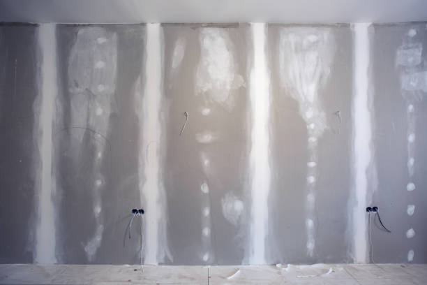 Best Asbestos and Lead Testing During Mold Inspection  in Spencerville, MD