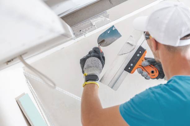 Best Mold Prevention Services  in Spencerville, MD